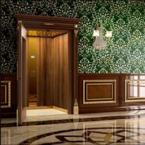 Orion Home Elevators