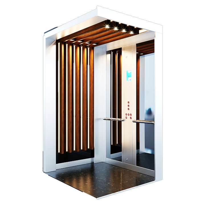 customized-home-lifts-in-united-arab-emirates-2 customized-home-lifts