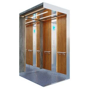 customized-home-lifts-in-united-arab-emirates-3