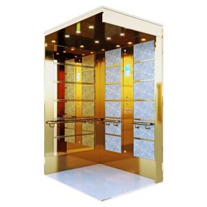 customized-home-lifts-in-united-arab-emirates-4