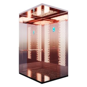 customized-home-lifts-in-united-arab-emirates-5