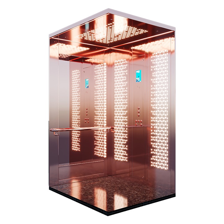 customized-home-lifts-in-united-arab-emirates-5 customized-home-lifts-in-united-arab-emirates-5